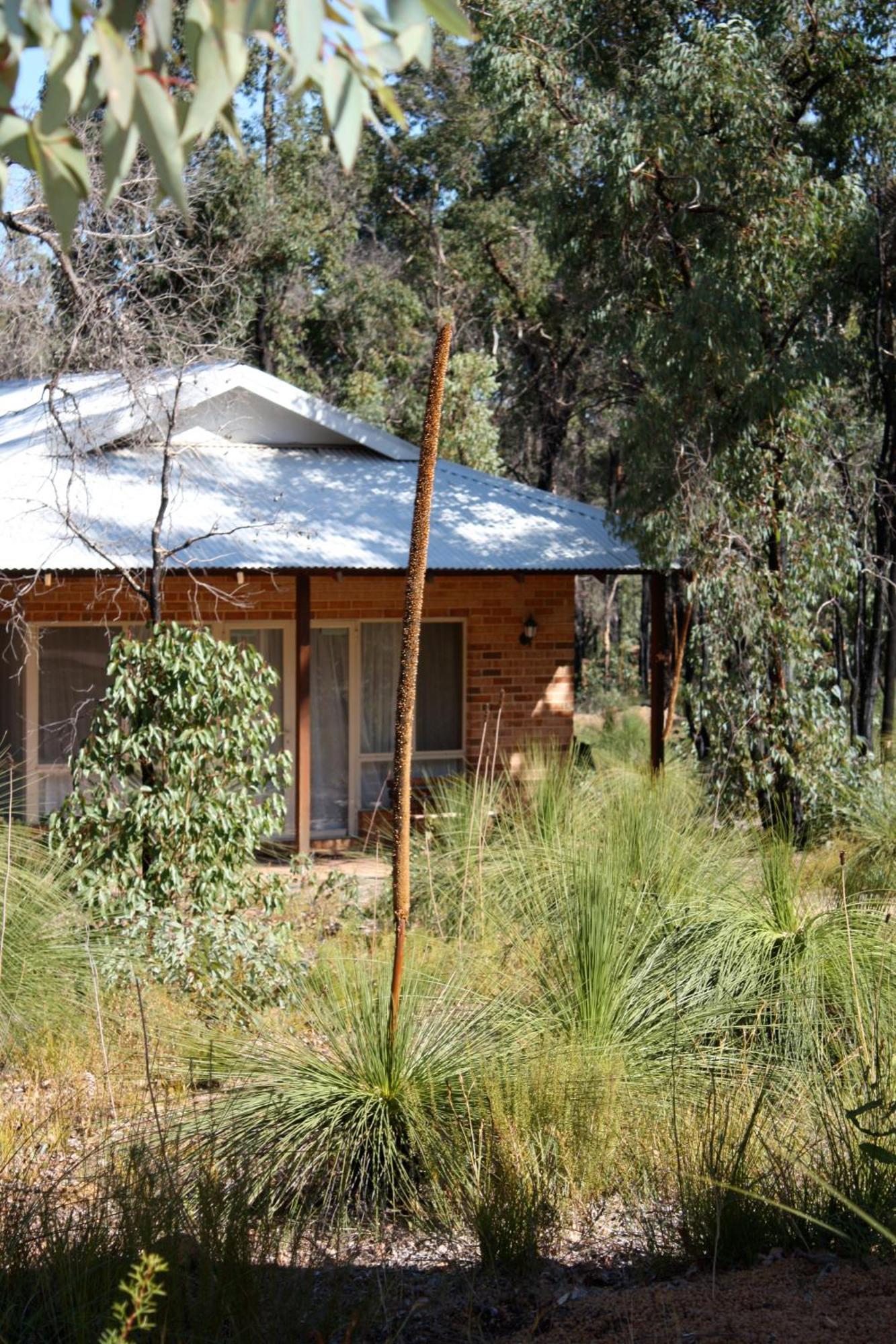 ريدكليف Chalets On Stoneville المظهر الخارجي الصورة
